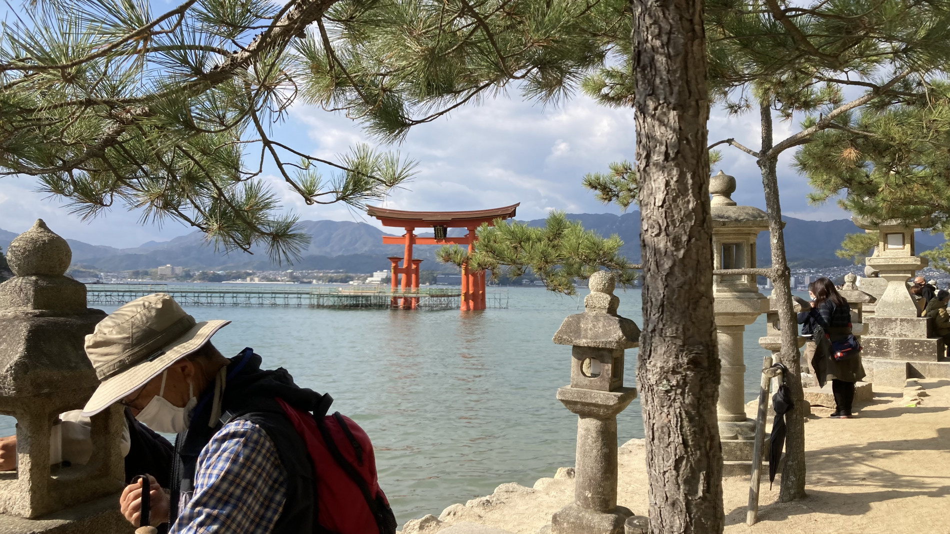 修学旅行２日目(厳島神社) (5)